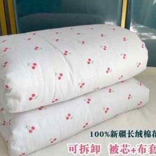 新疆长绒棉被纯棉花被子，被芯棉絮宿舍床垫被，褥子全棉加厚保暖冬被