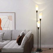 灯具现代简约立式落地灯客厅沙发旁边遥控卧室床头设计感装饰台灯