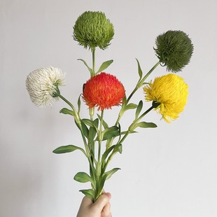 高品质软胶绿石竹网红插花植物绿毛球样板间，花艺陈列手感绿植果子