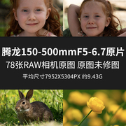 腾龙150-500mmF5-6.7DiIIIVCVXD原片RAW+JPG相机直出未修素材图片