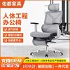 人体工学椅双节背护腰办公椅卧室居家办公电脑椅可躺老板椅子