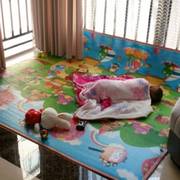 打地铺睡垫防潮隔凉可折叠塑料，泡沫海绵床垫，单人午睡踏踏米垫地垫