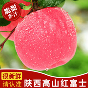 陕西高山红富士苹果水果，新鲜当季整箱冰糖心，一级脆甜平果10斤