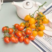 仿真水果西红柿模型道具塑料果蔬圣女果番茄展厅橱窗装饰摆件拍摄