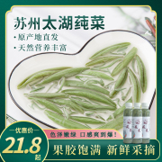 苏州太湖莼菜新鲜300克瓶装，新鲜采摘纯菜马蹄，菜pk西湖莼菜