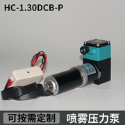工厂尿素喷雾压力泵微型直流水泵24v微型自动自吸泵
