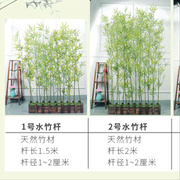 隔断四季仿真竹子简约细水竹造景假竹子田园中国风装饰室内屏风