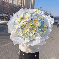 密西根碎冰蓝喷色生日北京速递玫瑰