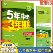 2024版5年中考3年模拟六年级下册英语鲁教版五四制 53初中同步练习册6年级同步教辅课本训练册五年中考三年模拟全练全解同步练习册