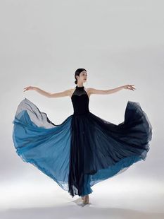 笼中国风民族古典舞蹈裙子演出服装飘逸双层孔蓝大摆裙720度长裙