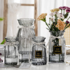 创意简约玻璃花瓶透明水养百合富贵竹干鲜花插花瓶客厅装饰摆件