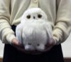 日本正版吉德白色猫头鹰毛绒公仔玩偶玩具柔软顺滑儿童女友礼物