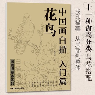 中国画白描花鸟入门篇国画临摹画册吴樵六著技法入门基础教程中国工笔画稿白描，勾线牡丹涂色宋画临摹册初自学者名家手绘教材