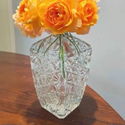 浮雕玻璃花瓶马德里复古水培鲜花单枝花瓶小清新家居摆件简约绿植