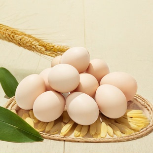 新鲜土鸡蛋农家散养正宗草鸡蛋笨柴鸡蛋孕妇柴鸡蛋20枚整箱禽蛋