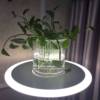 水培植物玻璃瓶 透明现代直筒圆柱形花瓶简约绿萝白掌 水培瓶子