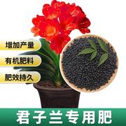 君子兰专用肥盆栽兰花有机复合肥兰科君子兰肥料促开花颗粒缓释肥