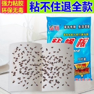 苍蝇贴粘苍蝇纸强力粘蝇板灭蝇神器蝇子蚊子克星捕捉器家用一扫光