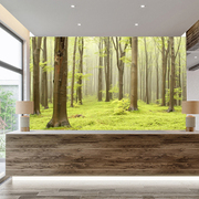 绿色森林大自然风景壁纸，餐厅主题房间，z墙布3d立体延伸空间背景墙