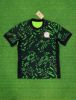 2425赛季尼日利亚主场球衣泰版短袖足球服 football jersey shirt