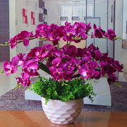 蝴蝶兰花艺盆栽仿真干花，套装饰假花绢花客厅，餐桌摆设摆放花卉