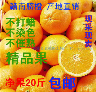  老表江西赣南脐橙信丰安西脐橙甜橙子新鲜水果特产精品果净重20斤