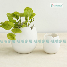 破壳出生～孵化植物 播种类最佳小花盆 鸡蛋壳白色陶瓷/外表磨砂