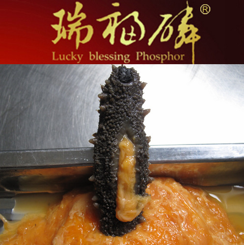 【瑞福磷】海参花海参籽海参礼盒辽参刺参海参淡干海参干货无糖|一淘网优惠购|购就省钱