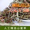 上下架计划:山蜜草 云南长寿草 山蜜草茶 甜菊叶 山密草 甜凉茶 2斤25元包邮