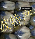 人气宝贝宁波特产*香喷喷的大目鱼蛋*野生墨鱼蛋正宗墨鱼蛋250克