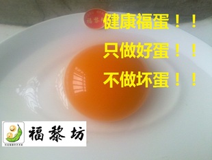  散养鸭蛋 麻鸭蛋 绿壳鸭蛋 新鲜鸭蛋 一个有农业梦想的80猴故事