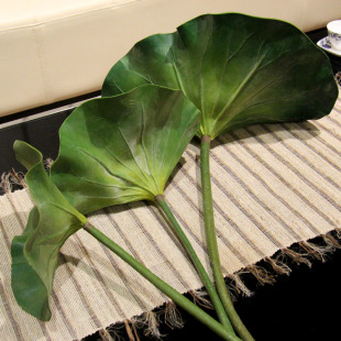  知根 仿真花 假花荷叶 高仿真植物 家居装饰花 摆设花HY-001
