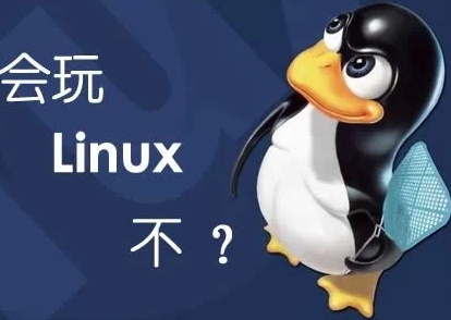 Linux|Centos|VPS|服务器代维|代做系统|维护系