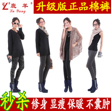 年终回馈 正品鄂尔多斯鹿羊 驼绒棉裤驼绒裤外穿女式加厚保暖毛裤