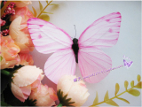taobao english 9859520391