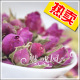 2011新货到 特级进口法国玫瑰花茶 疯抢促销价 50g