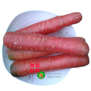  胡萝卜 红萝卜 四川成都新鲜蔬菜 同城配送 满38包邮