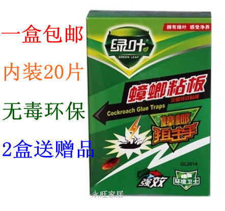 蟑螂药绿叶蟑螂粘板蟑螂贴杀蟑螂灭蟑螂捕捉器环保无毒全窝端|ruв категории туалетные чище/санитарно - гигиенических салфеток/бумага/Ароматерапия, дегельминтизация товаров, зооциды/инсектициды - от Buy2taobao.com для оказания профессиональной услуги покупки агента Taobao