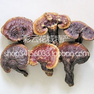  新货2斤包邮特价 云南高原深山采摘正品野生赤灵芝500g假一赔百