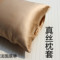 上下架计划:外贸原单枕套单人加厚重磅双面真丝枕套  100 桑蚕丝枕巾枕头套
