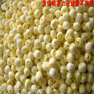  莲子 白莲 莲子肉 去芯 洪湖特产 一煮就烂  补中养神 安心养神