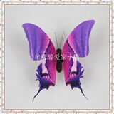 taobao english 4032897457