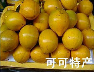  《海南水果》海南热带新鲜水果鸡蛋果/蛋黄果 特大果10斤（包邮）