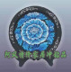 家居必备乌金炭雕富贵芙蓉
