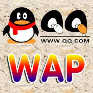 腾讯wapQQ图标 3分钟永久点亮 速联系哦