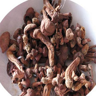  东北特产 纯野生红蘑菇 松树蘑 小鸡炖蘑菇山珍干货500g 特价包邮