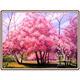 法国进口DMC十字绣自配套件 风景 樱花记忆