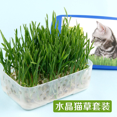 【8】25省包邮 猫咪零食猫咪吐毛球调理肠胃 