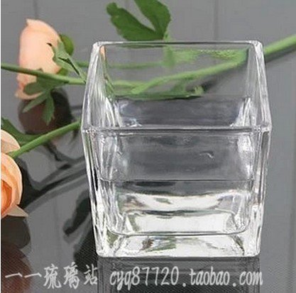 Clearance Gardening supplies transparent Glass Square cylinder Hydroponics Container Plug vase Special Offer simple and easy fish tank Gift Soybeanin the Home accessories , Vase/Flower/Artificial flowers/Imitation jewelry , Flower/Vase , Other flower category - from Buy2taobao.com to provide professional Taobao agent buy service