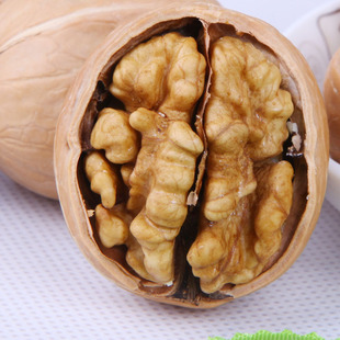  沈家村新货 新疆阿克苏薄皮核桃500g年货新疆特产生核桃特价